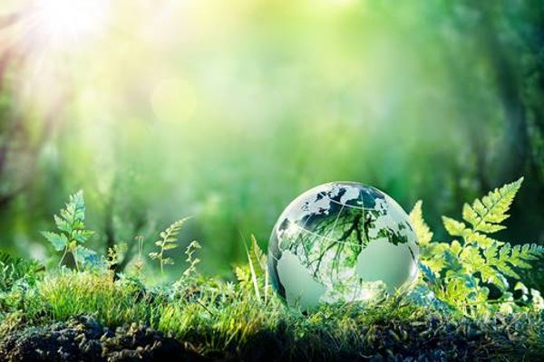 伦敦商业与金融学院新加坡校区国际商务课程适合哪些学生